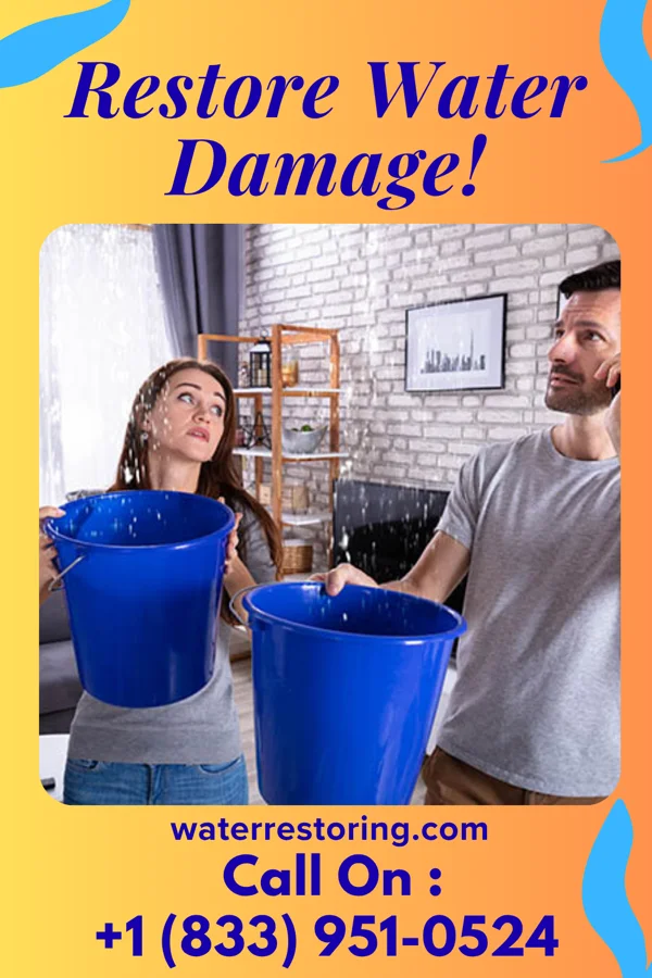 water restoration Titan Water Repair Authority Walbridge