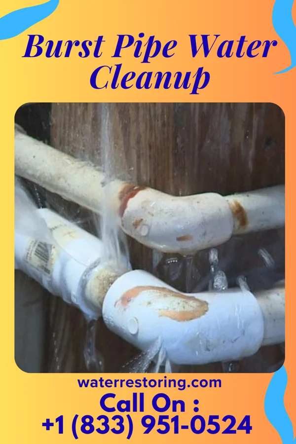 Burst Pipe Water Cleanup in Walbridge, OH