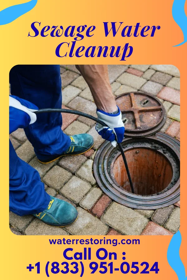 Sewage Water Cleanup in Walbridge, OH