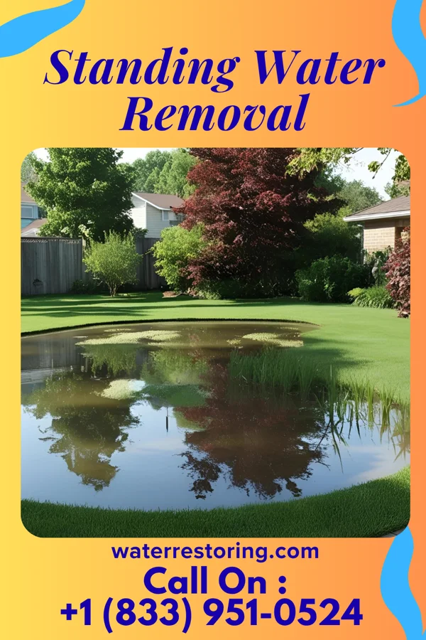 Standing Water Removal in Walbridge, OH